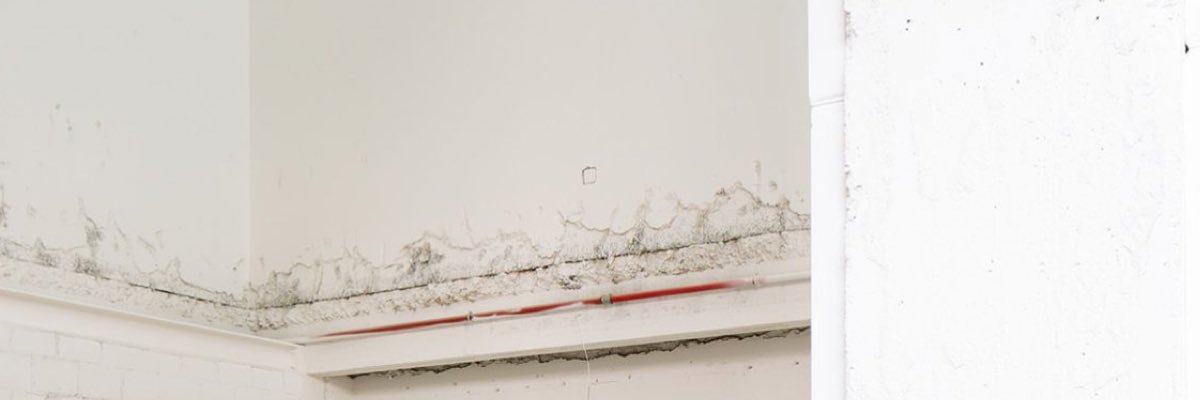 Chadddy_P's profile banner image