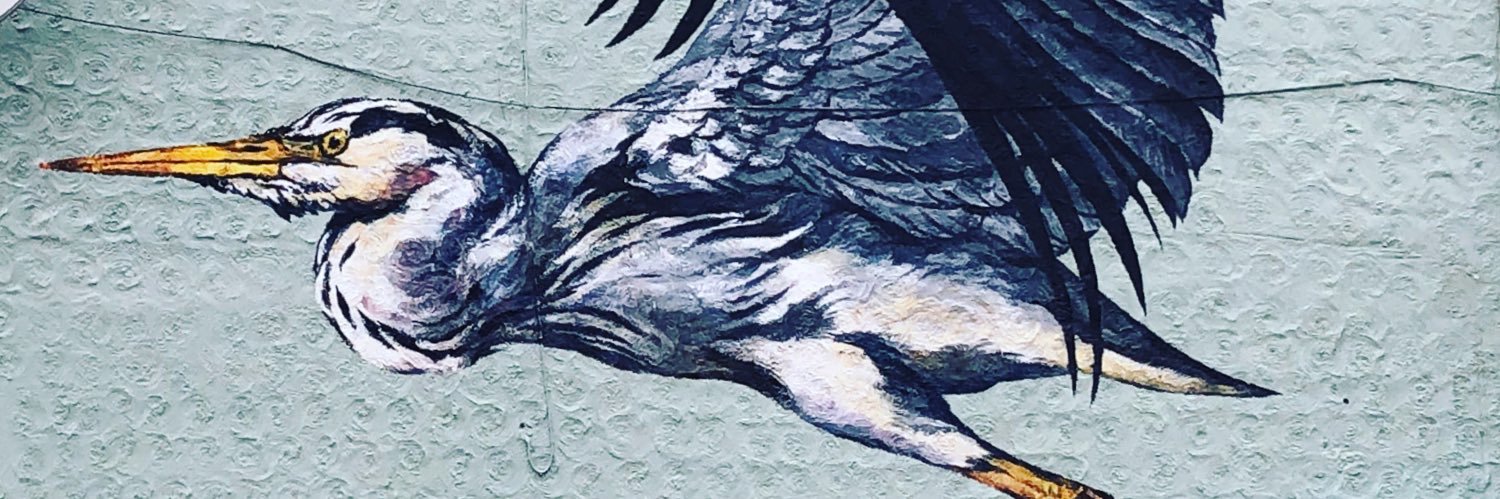 murton's profile banner image