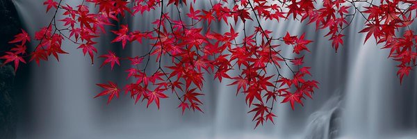 HugoSmartyPants Profile Banner