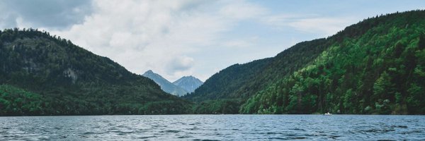 UBCForestry Profile Banner