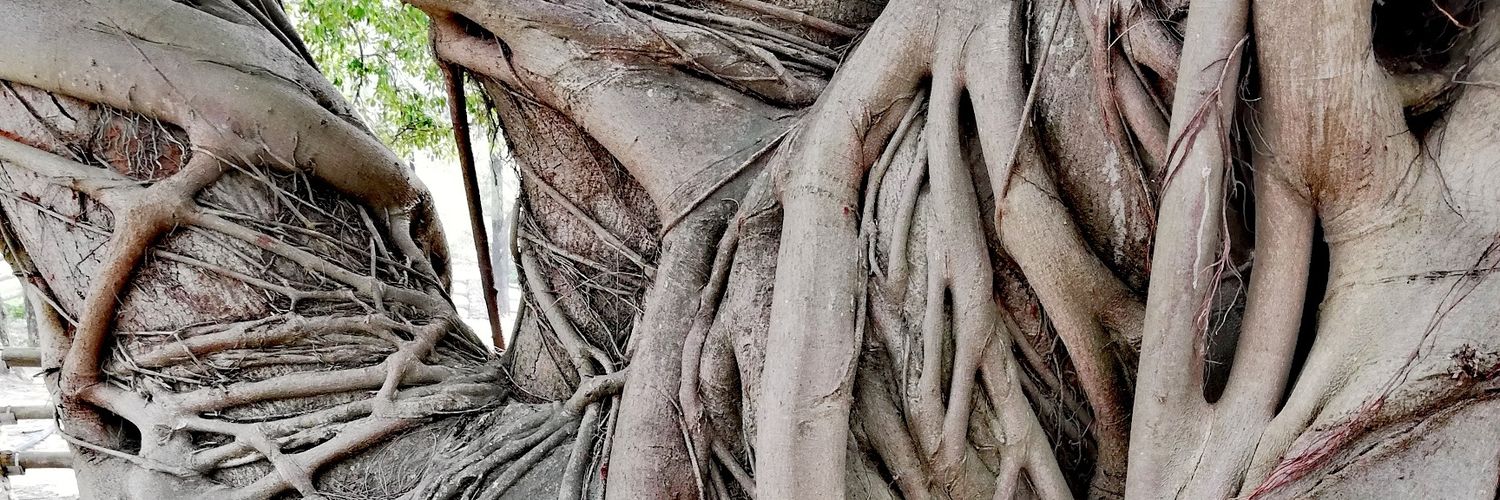 noekie2's profile banner image