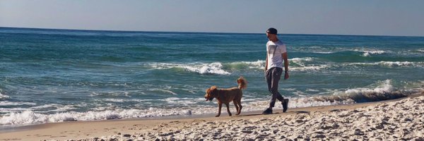 TimCNicholson Profile Banner