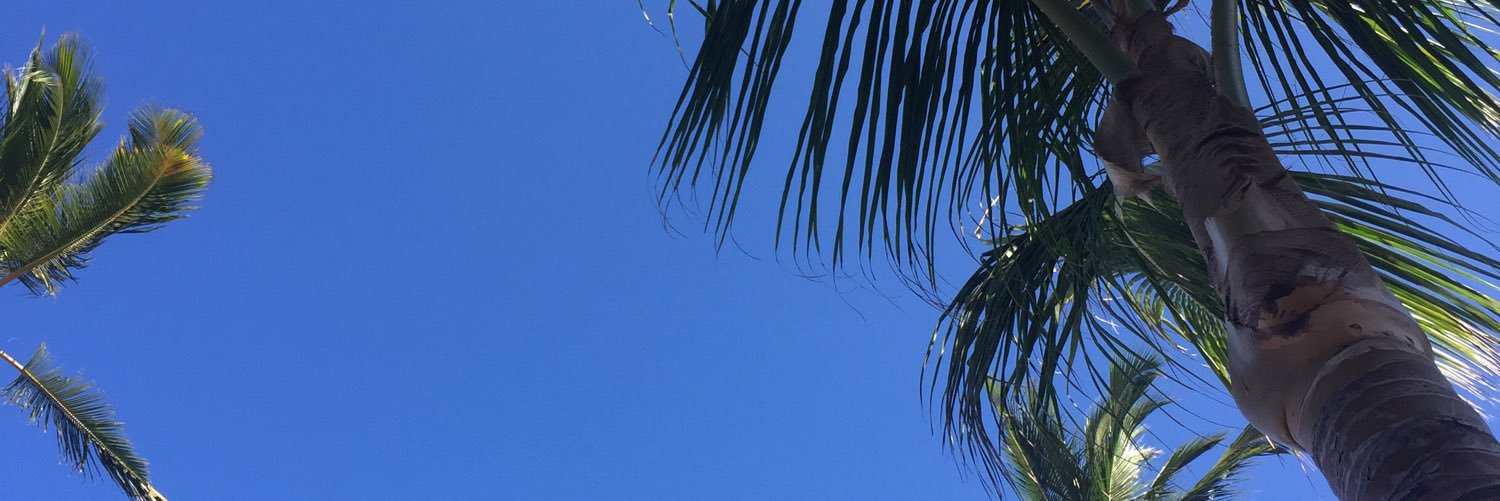 ReneeEvans's profile banner image