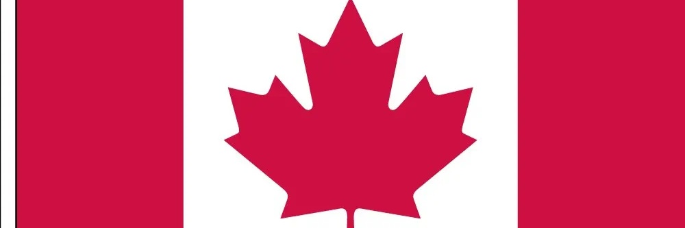 leafchick's profile banner image