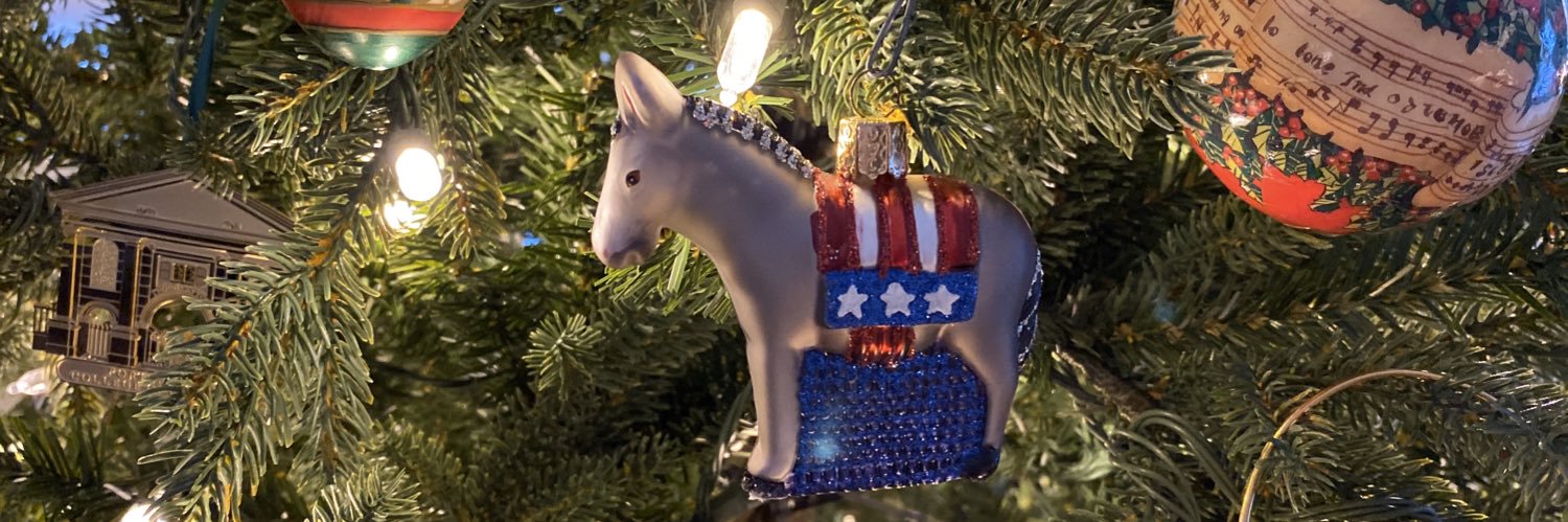 NancyBright's profile banner image