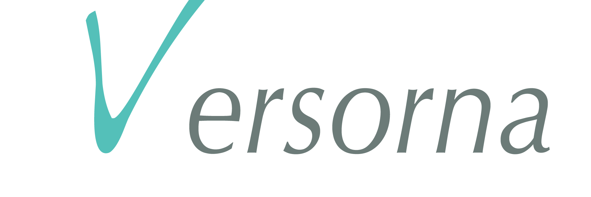 VersornaInc's profile banner image
