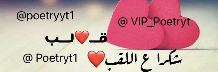 بدرية💛قلب💛 banner