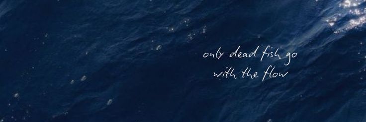 callitdiah's profile banner image