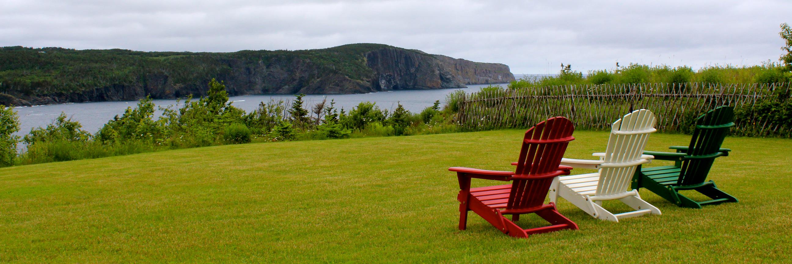 Ann Colbourne banner