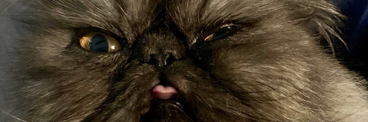 ItsElizabeth67's profile banner image