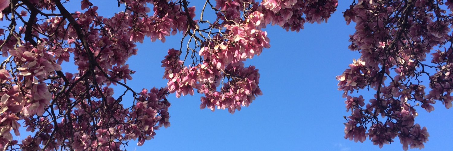 SarahBeara96's profile banner image