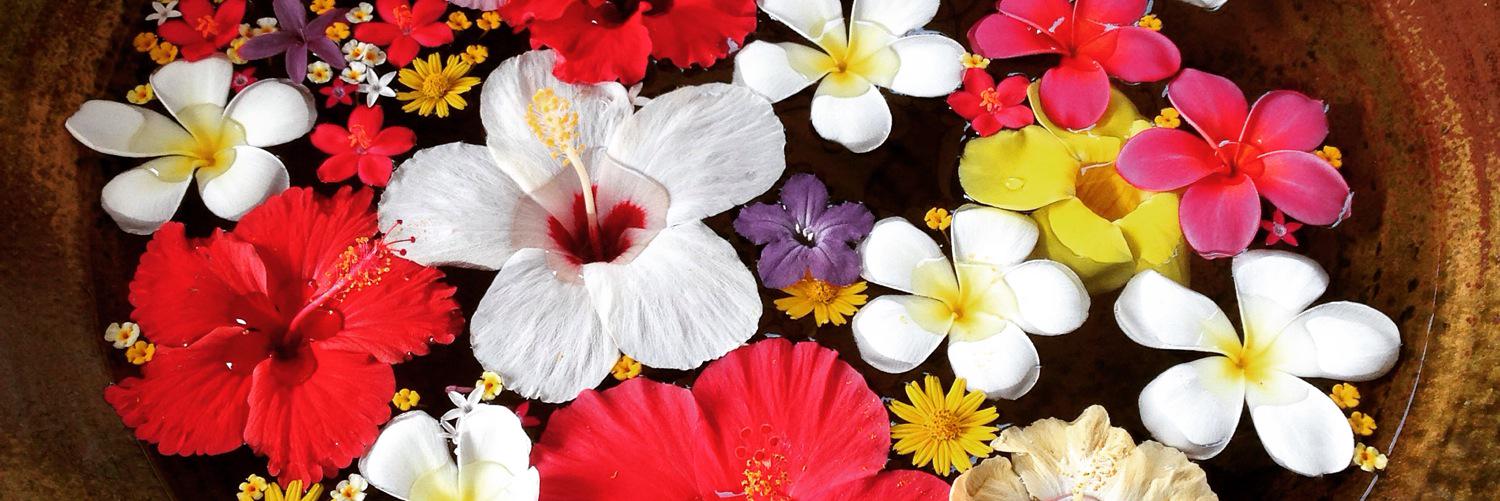 MiSaaa________'s profile banner image