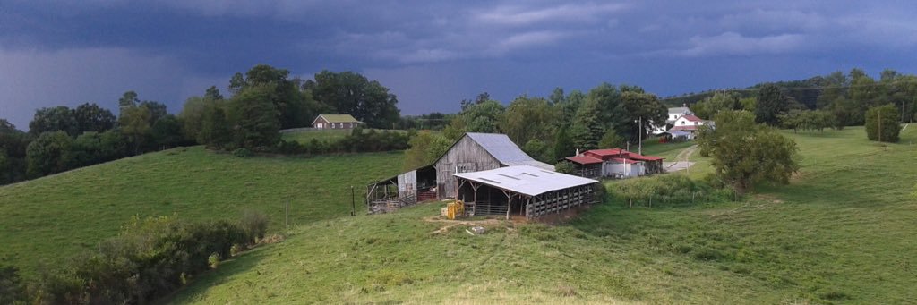 Tim Tribbett DVM banner