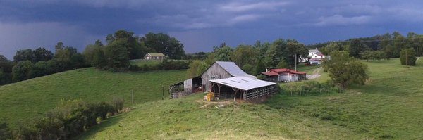 tntDVM Profile Banner