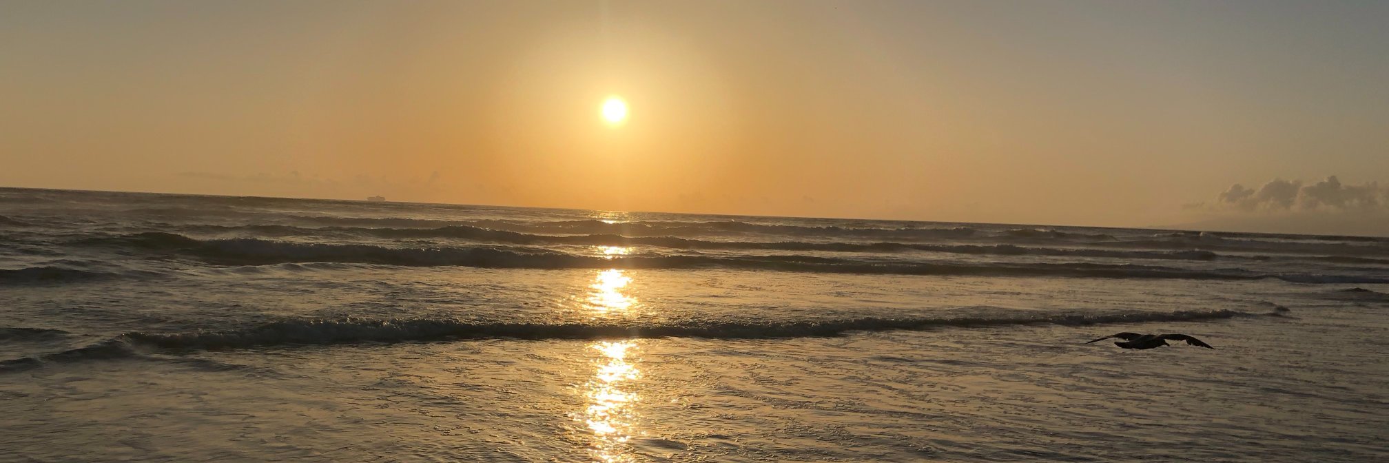 Mason Harrison banner