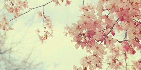 RiannePathuis's profile banner image