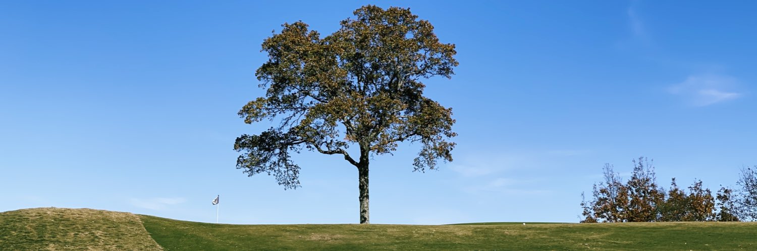 cinhulsen's profile banner image