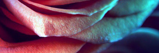 Loops819's profile banner image