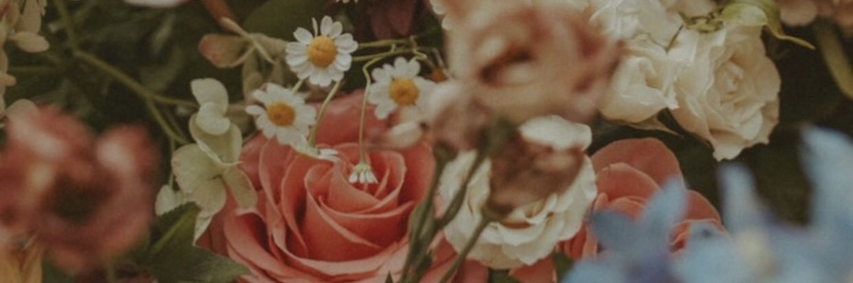 Megan McCoy Chavis banner