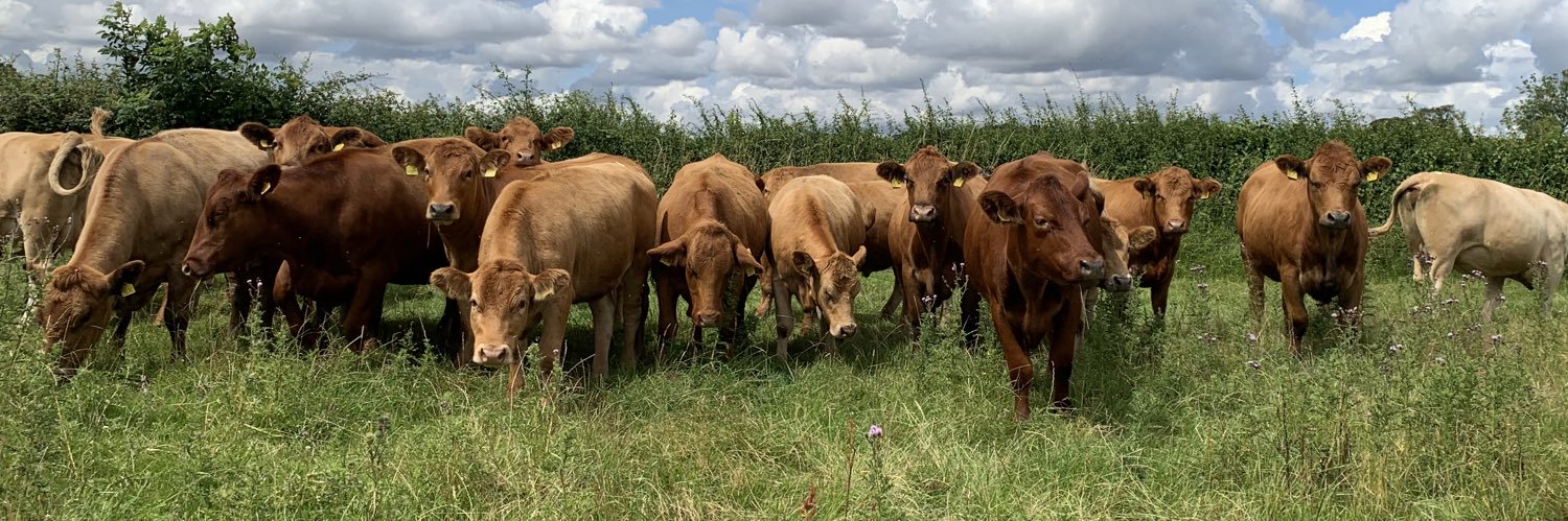 James Herrick banner