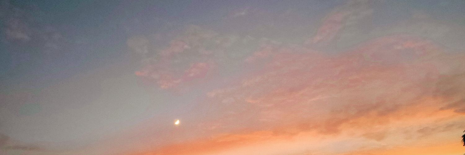 intandamarani's profile banner image