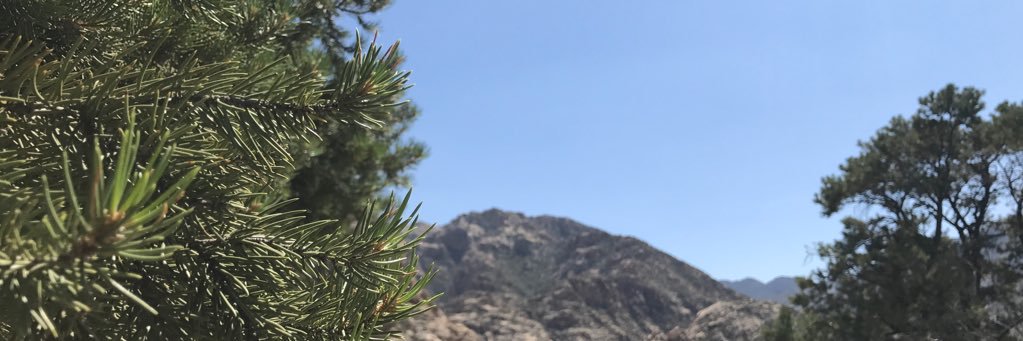 FuchsWyatt's profile banner image