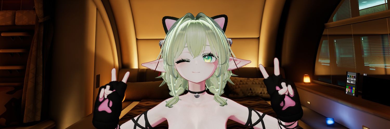 SilverWingNeko's profile banner image