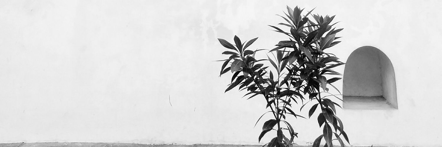 svfziah's profile banner image