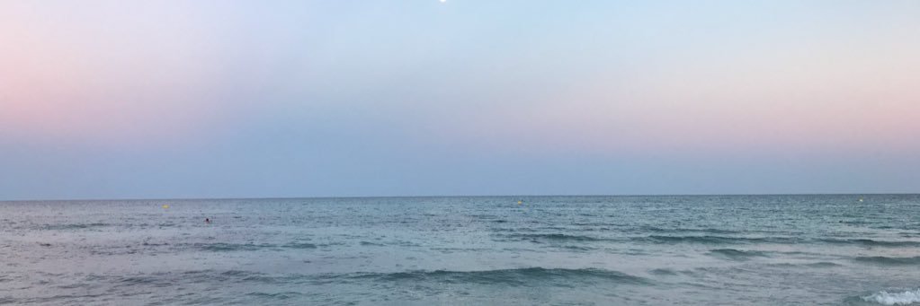 Kat Field💙 banner