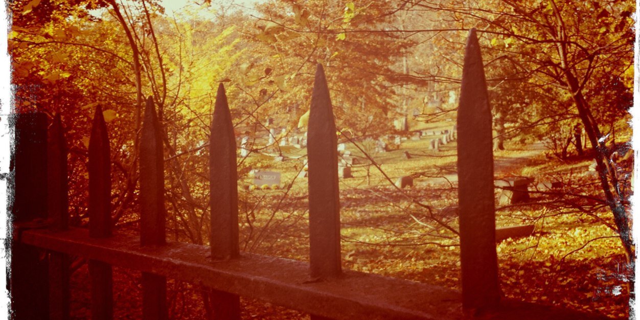 Counting Bodies Like Sheep to Rhythm of War Drums banner