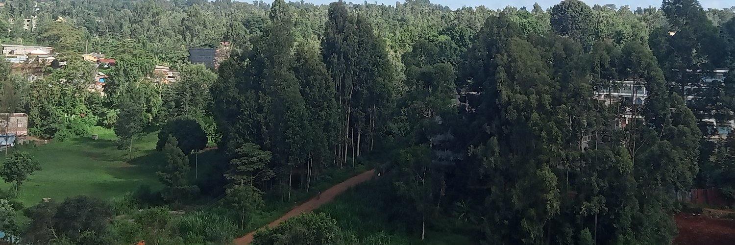 stevenrax66's profile banner image