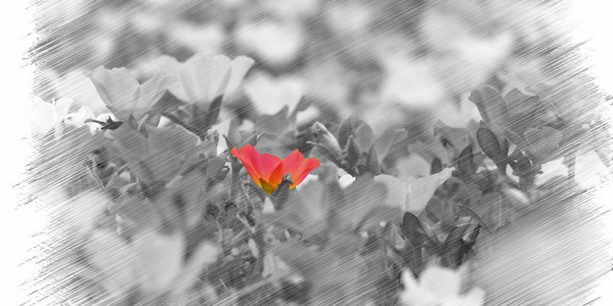 do_pepako's profile banner image