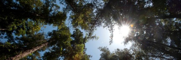 ucdavisCAES Profile Banner
