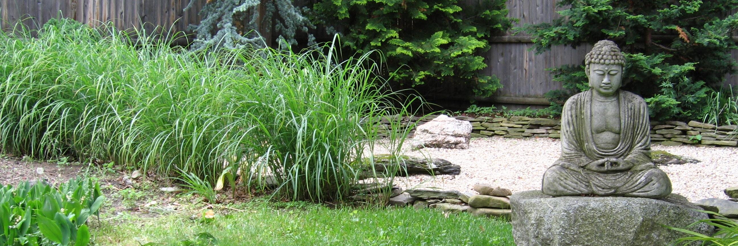 cambridgezen's profile banner image