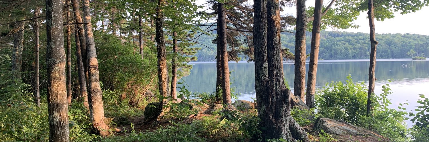 Matt McCorkle banner