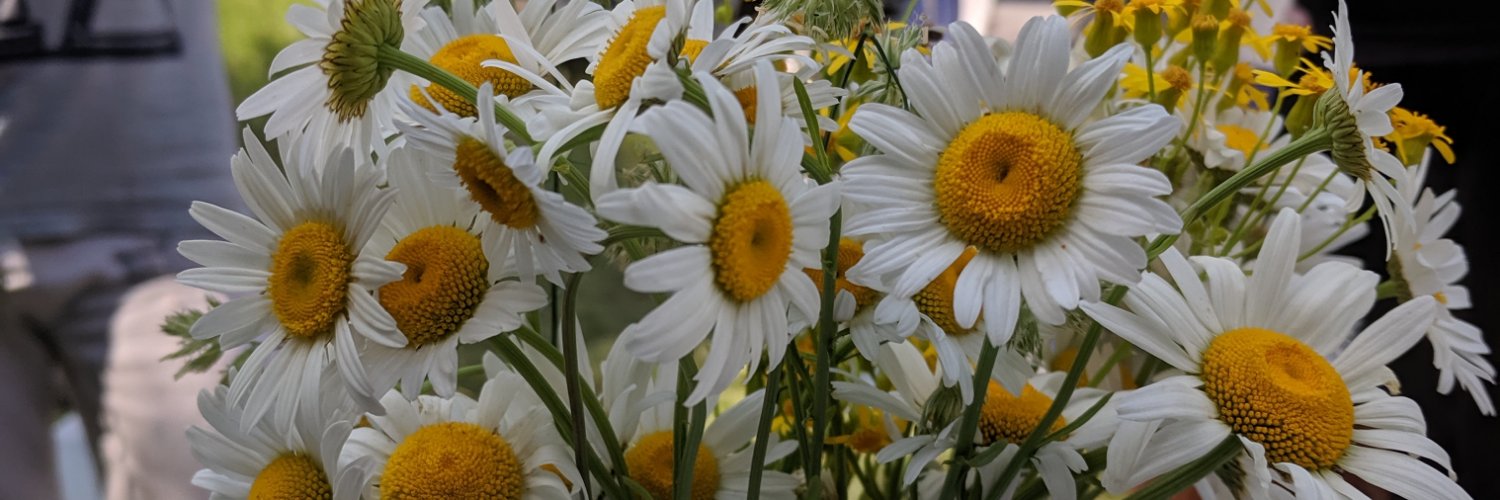 sydneyhall12's profile banner image