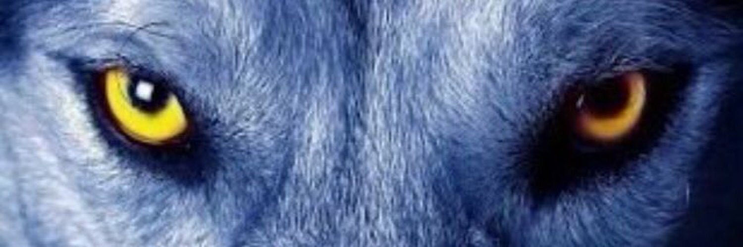 Joao Mo B There 🐺 banner