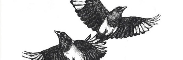 Thompson17Aimee's profile banner image