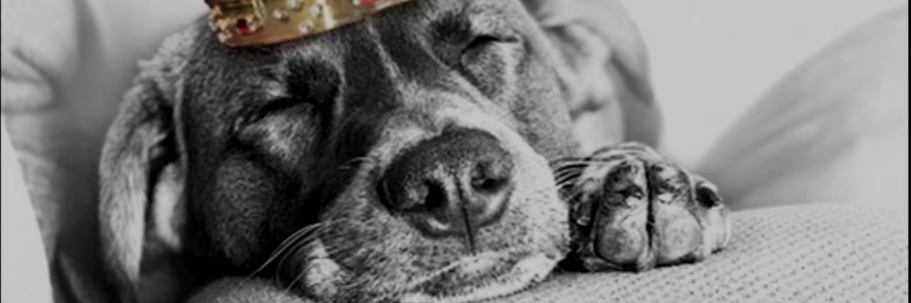 jFREEmke's profile banner image