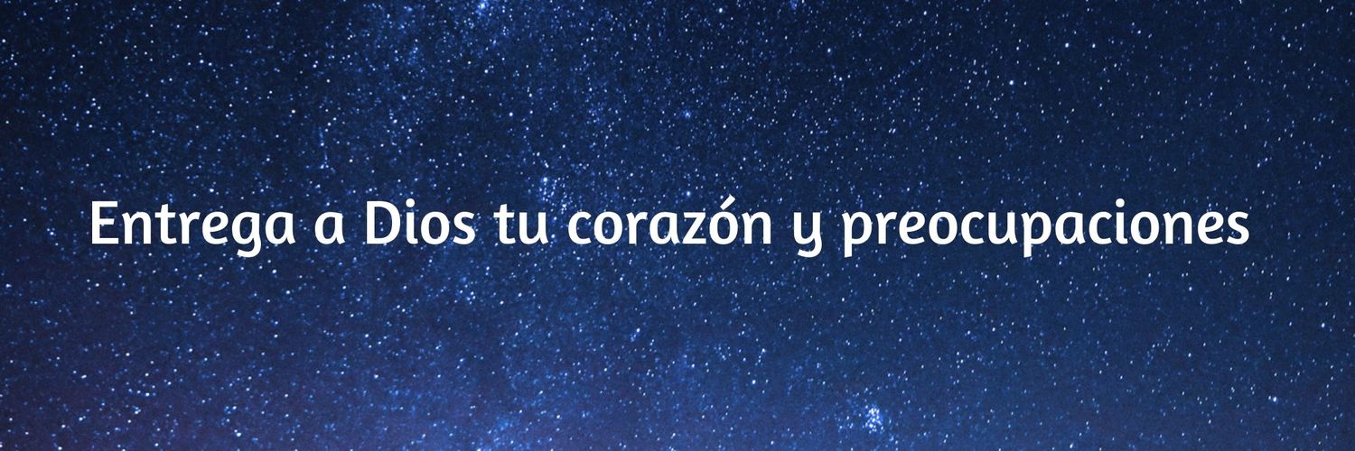 Velorti's profile banner image