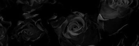 Rdave_'s profile banner image