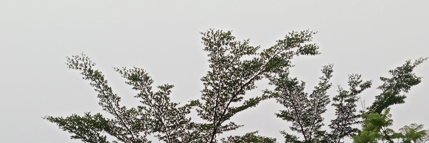 ajulmontj's profile banner image