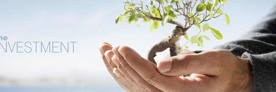 National_invest's profile banner image