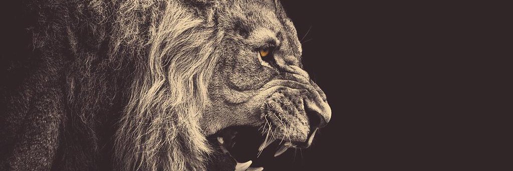 Urati_Ayim's profile banner image