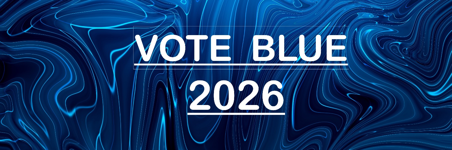 🇺🇸 ARABRAB Do we have a Constitution? banner