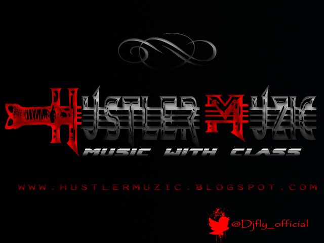 Disc jockey Fly banner