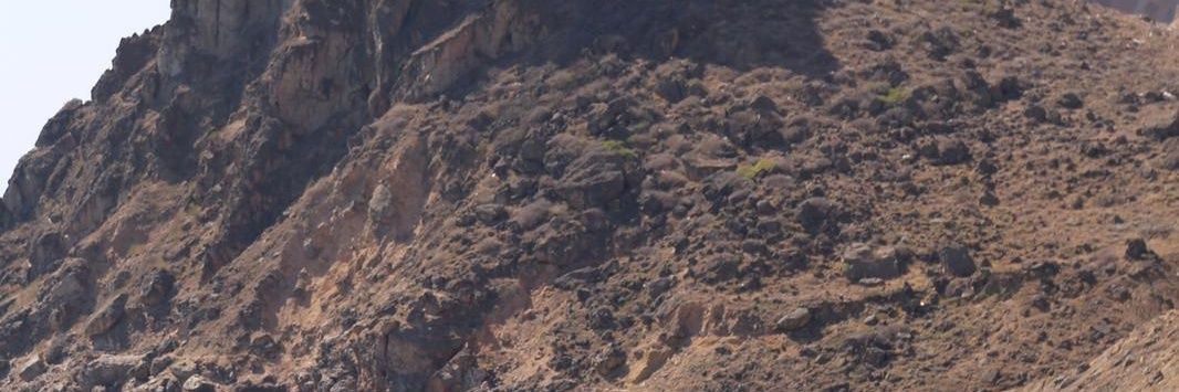 hareldavid10's profile banner image