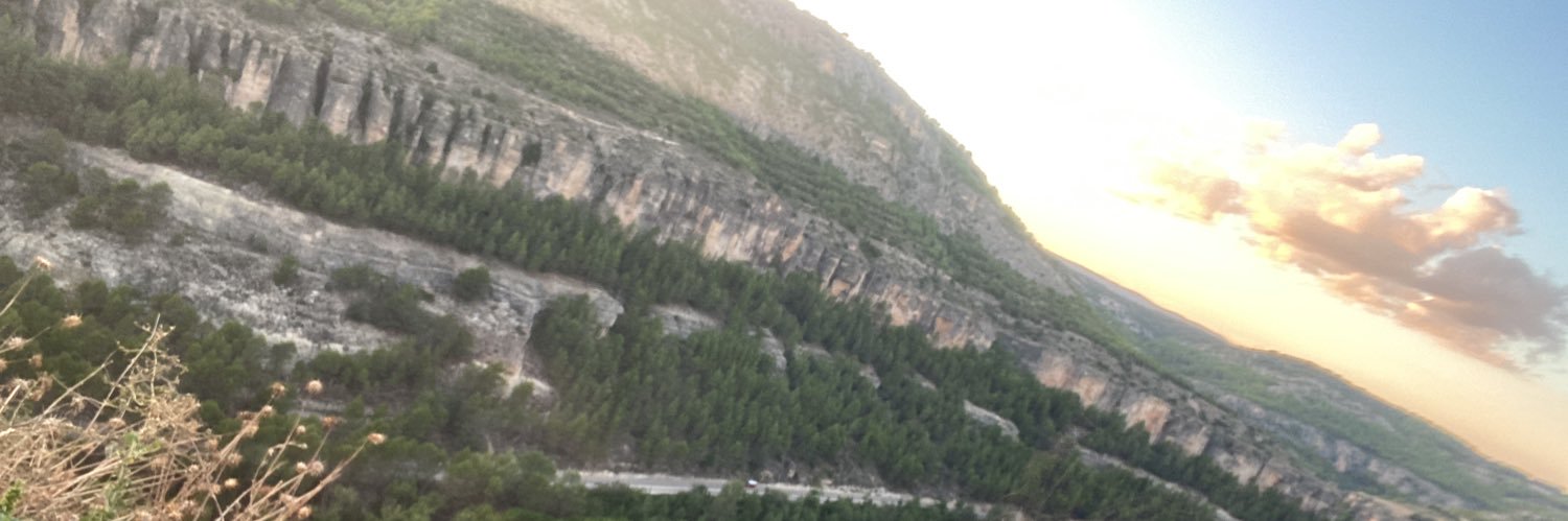 paulaalcalde4's profile banner image