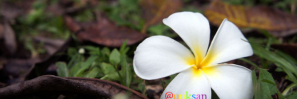 uuksan Profile Banner