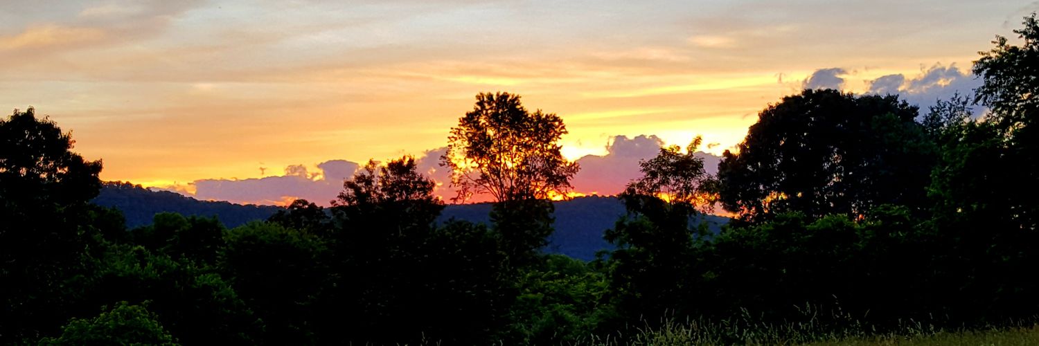 AmyElkinsReed's profile banner image